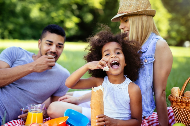 Picture of multiracial family at a picnic